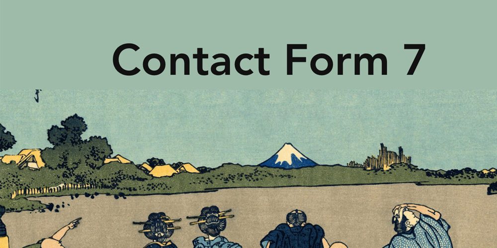 Contact 7 form özel etiketler nasıl kullanılır.