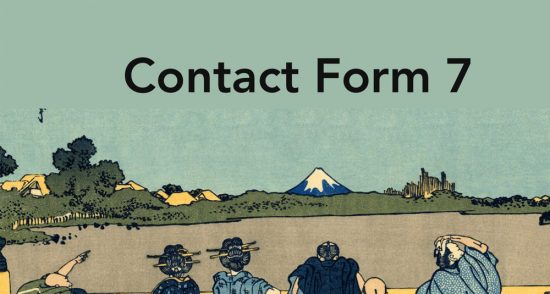 Contact 7 form özel etiketler nasıl kullanılır.